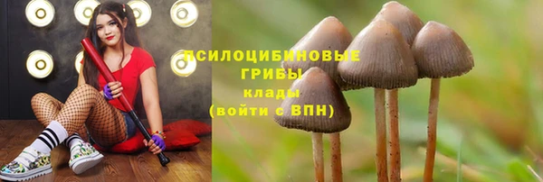 МДПВ Абаза