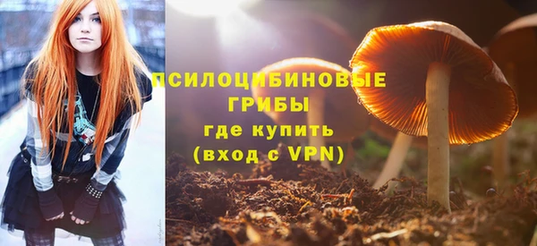 дурь Абдулино