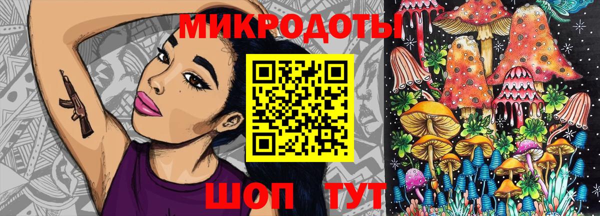 Сертолово  Псилоцибиновые грибы Psilocybine cubensis  Вход с VPN 