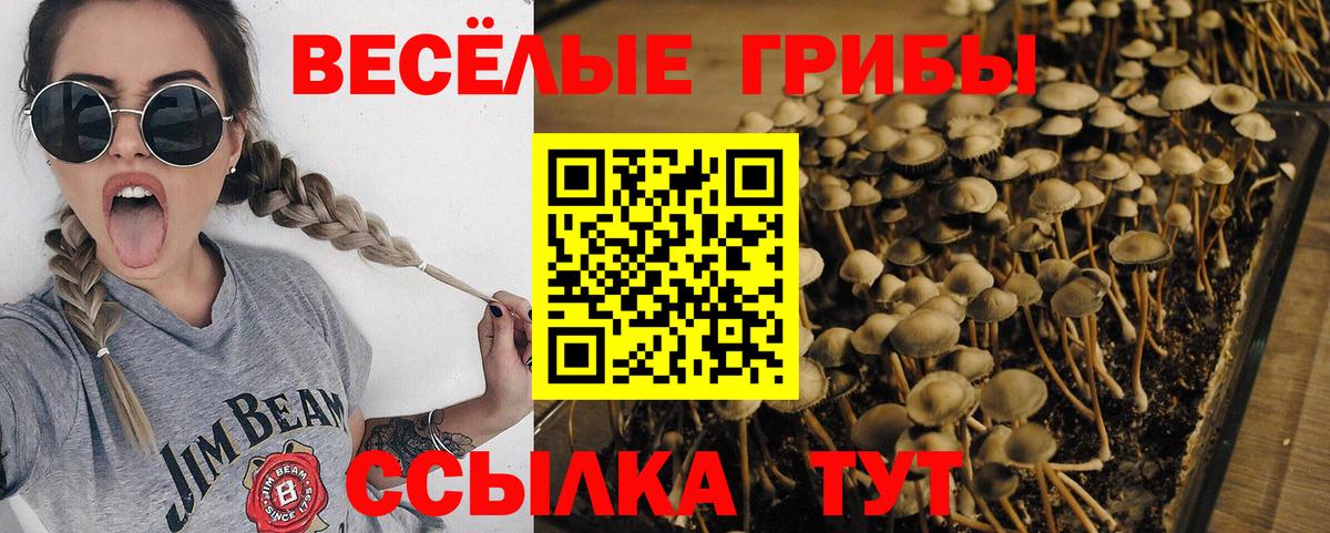 Галлюциногенные грибы Magic Shrooms Сертолово